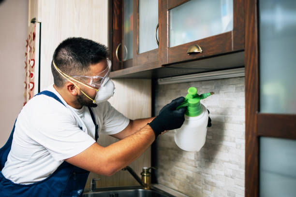 Best Mosquito Control Services  in Und City, MO