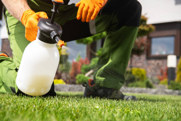 Best Emergency Pest Control  in Und City, MO