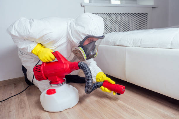 Best Cockroach Control Services  in Und City, MO