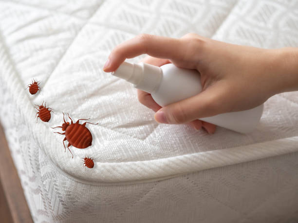 Pest Control Cost in Mound City, MO