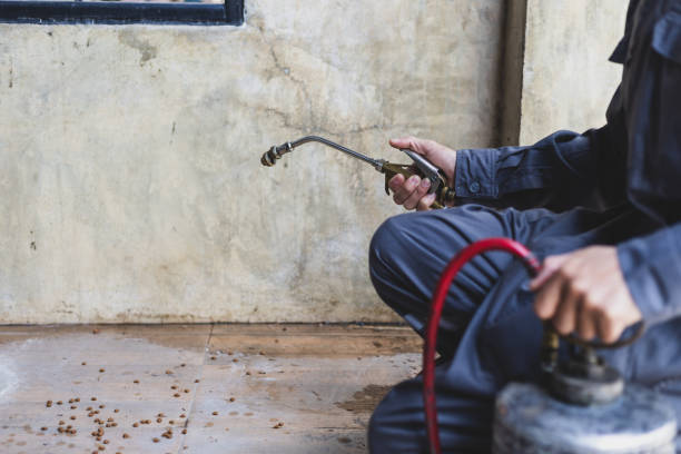Best Pest Removal Services  in Und City, MO